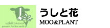 usitohanarogo